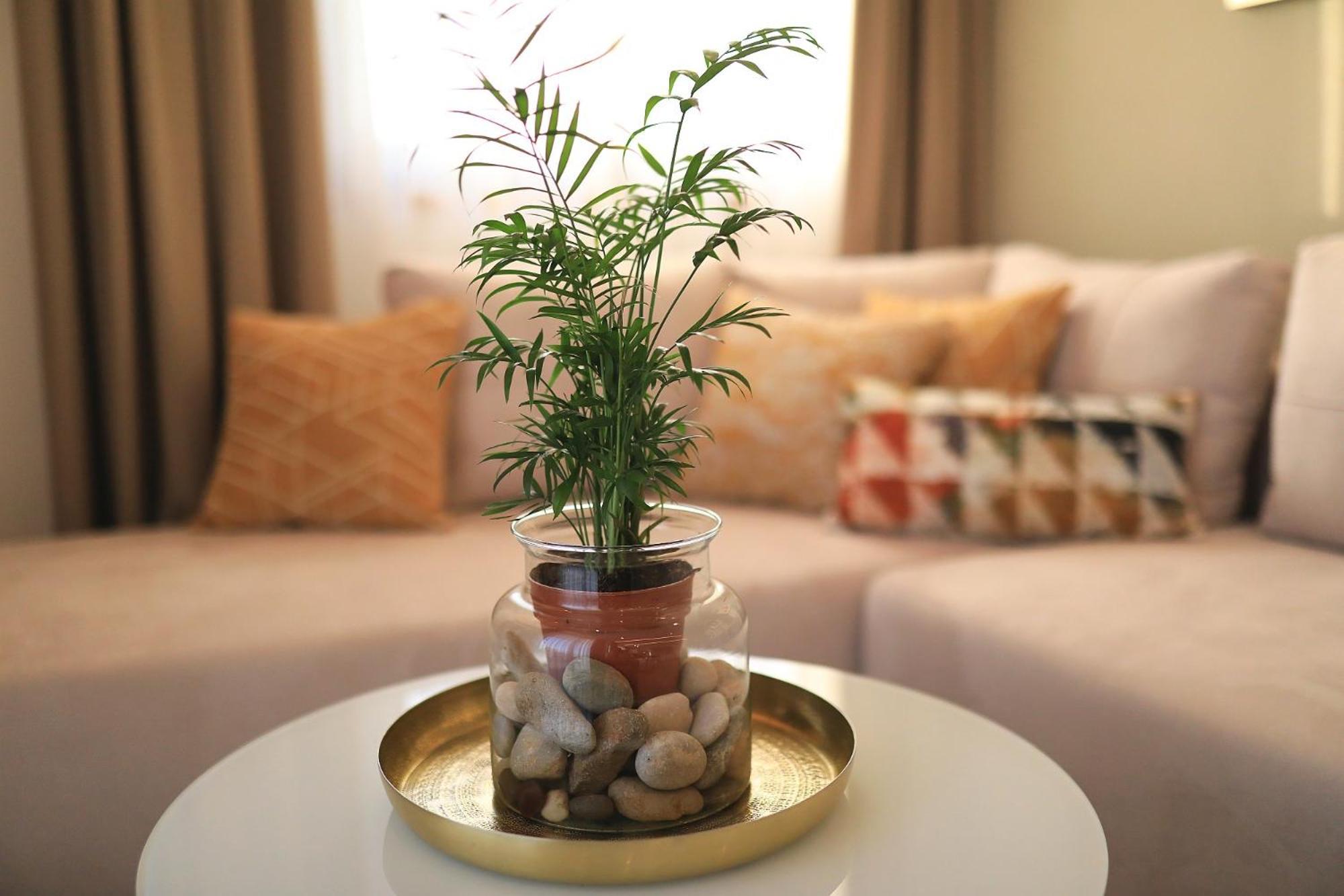 Villa Manda Zadar Luxury Apartments Bagian luar foto